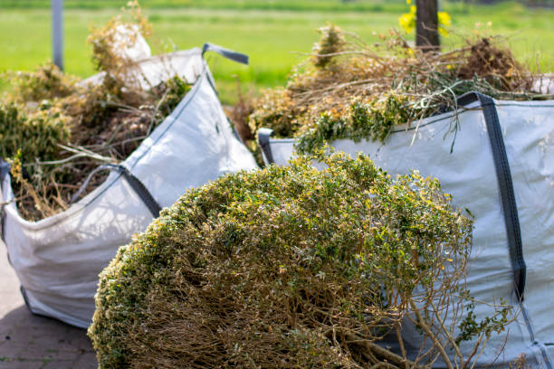 Best Property Management Cleanouts  in Meadow Vale, KY